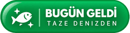 🐟 BUGÜN GELDİ