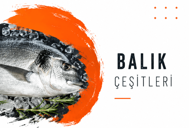Balık Çeşitleri