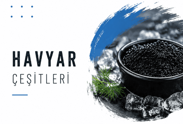 Havyar Çeşitleri